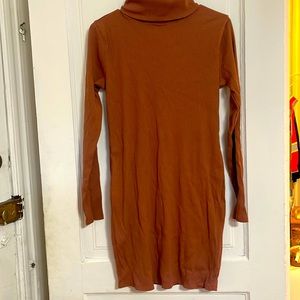 Blush turtle neck long sleeve body con dress